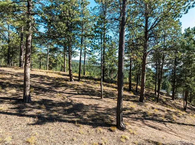 270 Thunder Ridge Drive Woodland Park, CO 80863