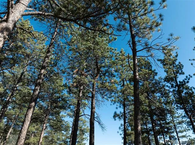 270 Thunder Ridge Drive Woodland Park, CO 80863
