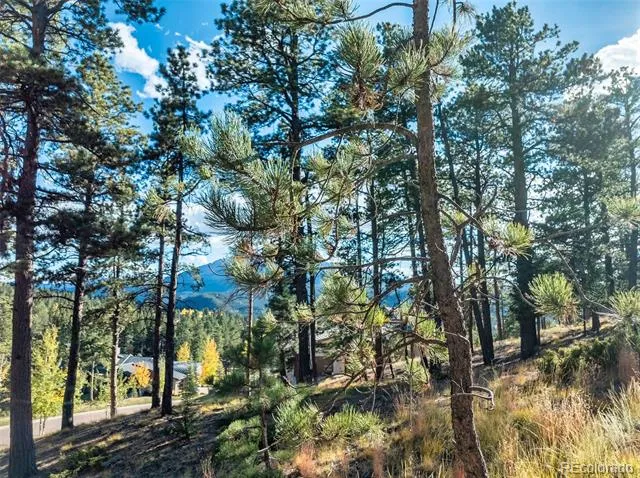 270 Thunder Ridge Drive Woodland Park, CO 80863