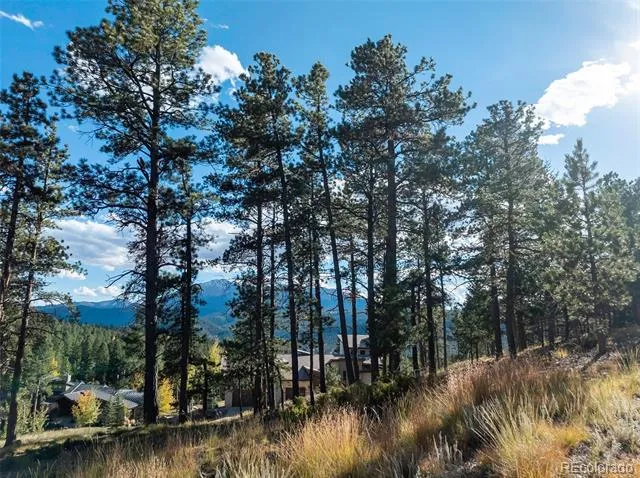 270 Thunder Ridge Drive Woodland Park, CO 80863