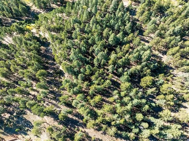 270 Thunder Ridge Drive Woodland Park, CO 80863