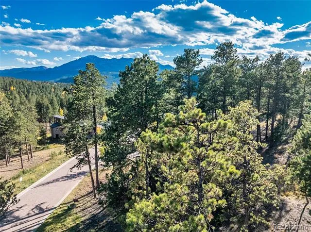 270 Thunder Ridge Drive Woodland Park, CO 80863
