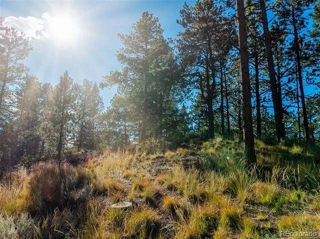 270 Thunder Ridge Drive Woodland Park, CO 80863