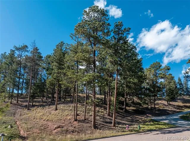270 Thunder Ridge Drive Woodland Park, CO 80863