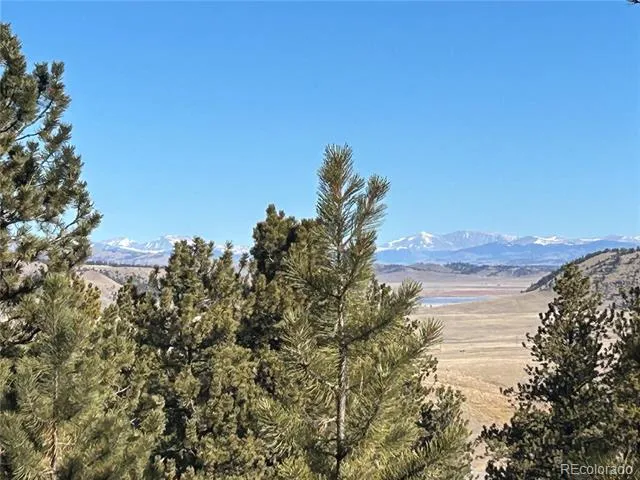 4376 Campfire Road Hartsel, CO 80449