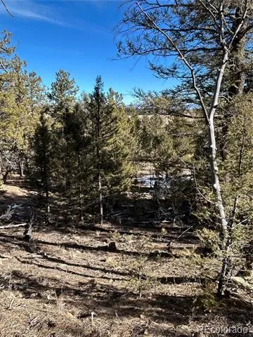 4376 Campfire Road Hartsel, CO 80449