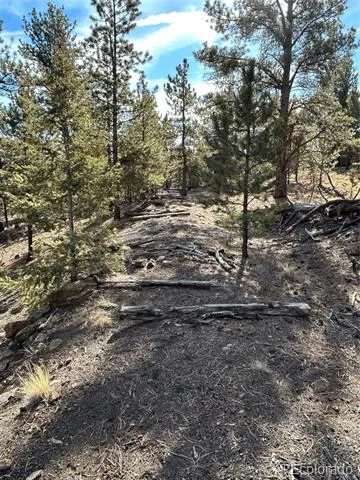 4376 Campfire Road Hartsel, CO 80449