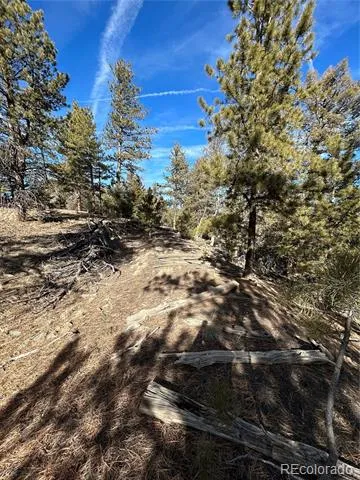 4376 Campfire Road Hartsel, CO 80449