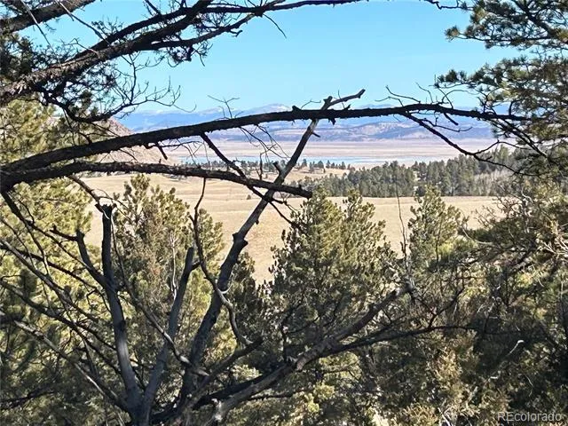 4376 Campfire Road Hartsel, CO 80449
