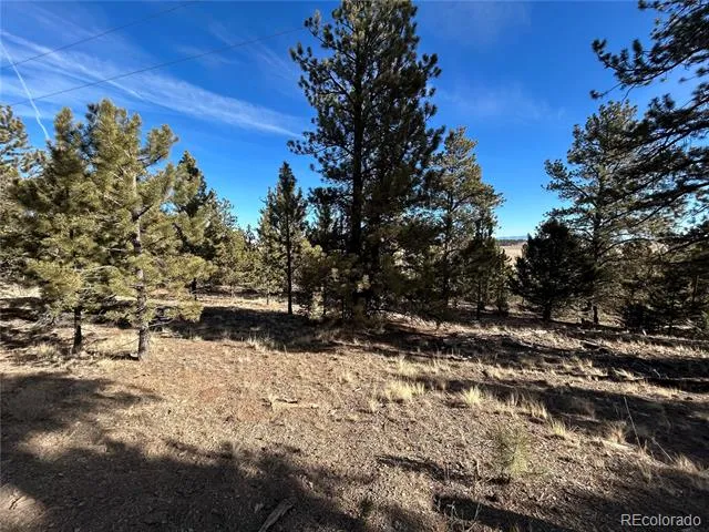 4376 Campfire Road Hartsel, CO 80449