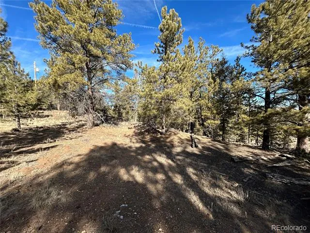 4376 Campfire Road Hartsel, CO 80449