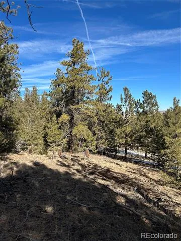 4376 Campfire Road Hartsel, CO 80449