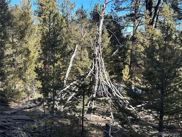 4376 Campfire Road Hartsel, CO 80449