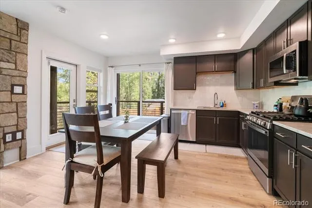 1044 Blue River Parkway #C207 Silverthorne, CO 80498