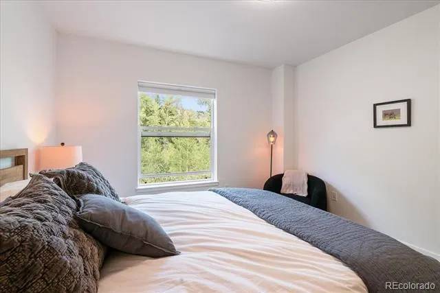 1044 Blue River Parkway #C207 Silverthorne, CO 80498
