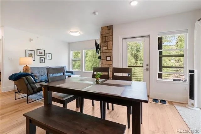 1044 Blue River Parkway #C207 Silverthorne, CO 80498