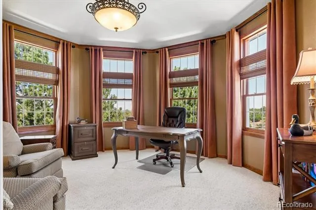 5551 Ponderosa Drive Parker, CO 80134