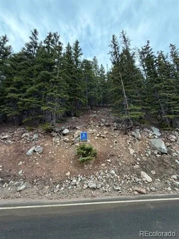 9208 Fall river Road Idaho Springs, CO 80452