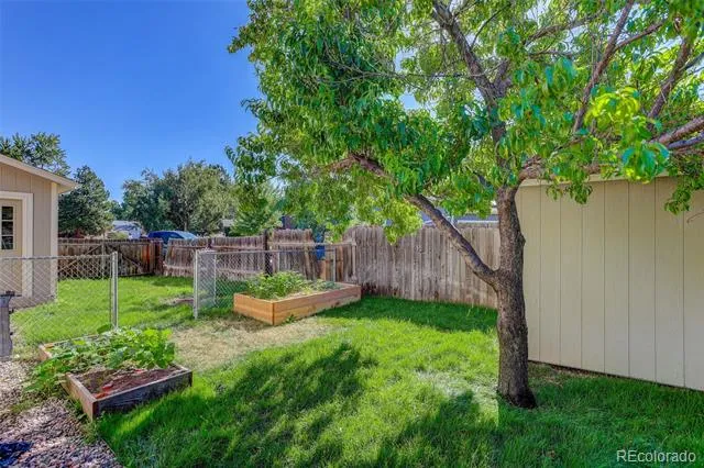 2437 Farghee Court Fort Collins, CO 80526