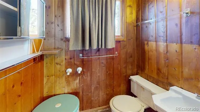 716 Doe Street Hartsel, CO 80449