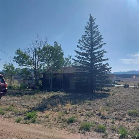 716 Doe Street Hartsel, CO 80449