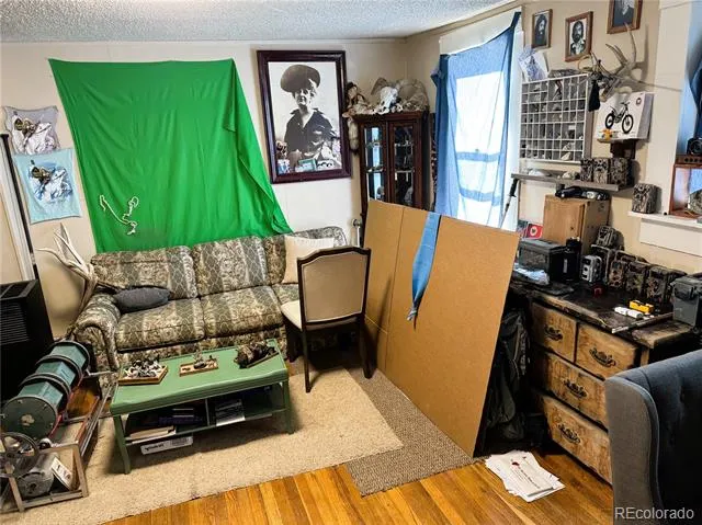 317 E 4th Street #A Salida, CO 81201