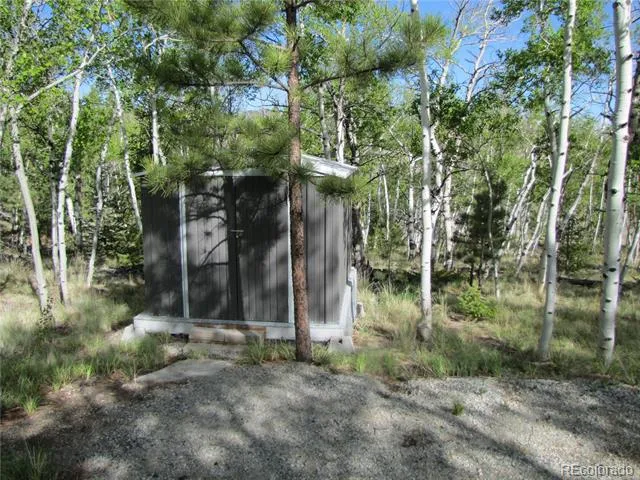 944 Brahma Circle Hartsel, CO 80449