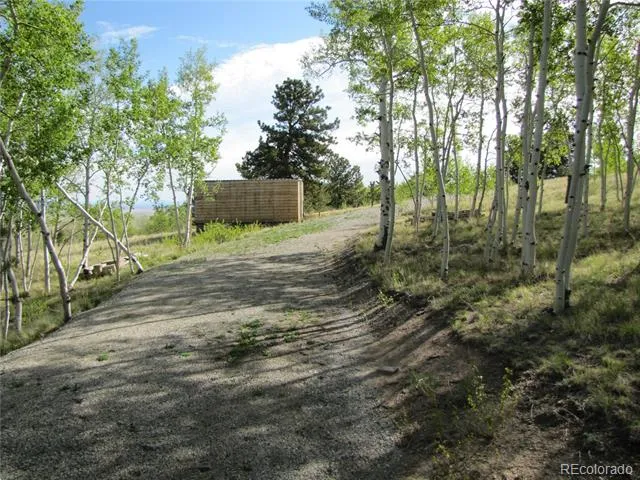 944 Brahma Circle Hartsel, CO 80449