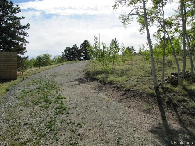944 Brahma Circle Hartsel, CO 80449