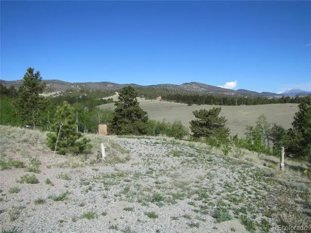 944 Brahma Circle Hartsel, CO 80449