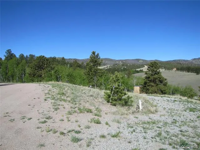 944 Brahma Circle Hartsel, CO 80449