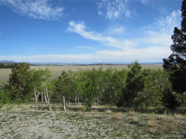 944 Brahma Circle Hartsel, CO 80449
