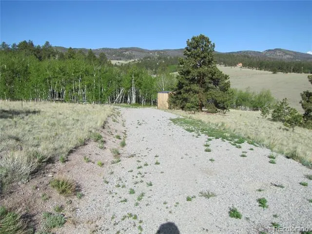 944 Brahma Circle Hartsel, CO 80449
