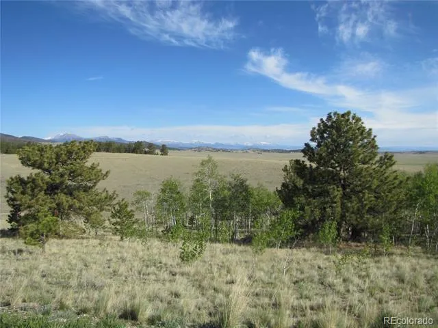 944 Brahma Circle Hartsel, CO 80449