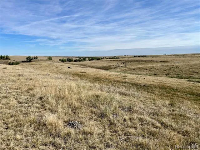 County Road 109 Deer Trail, CO 80105