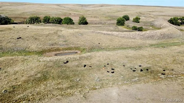 County Road 109 Deer Trail, CO 80105