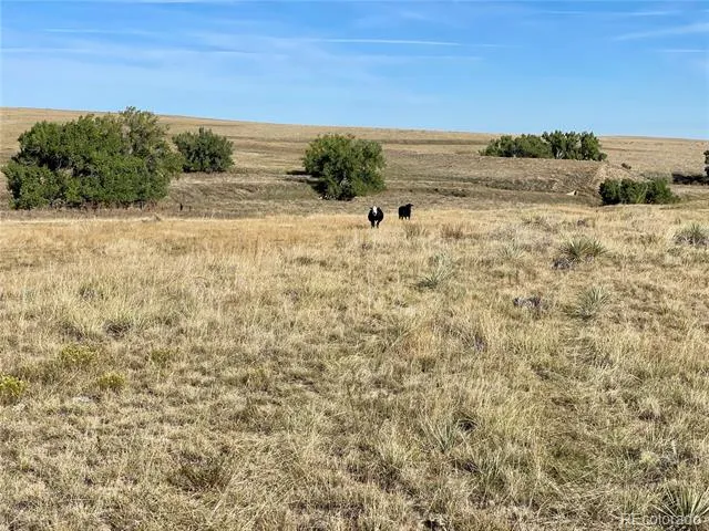 County Road 109 Deer Trail, CO 80105