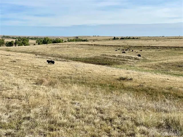 County Road 109 Deer Trail, CO 80105