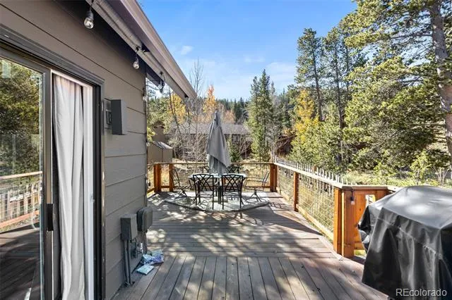 14 Red Feather Road Breckenridge, CO 80424