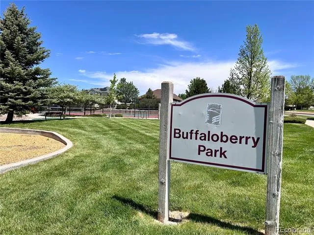 12125 Desert Hills Street Parker, CO 80138