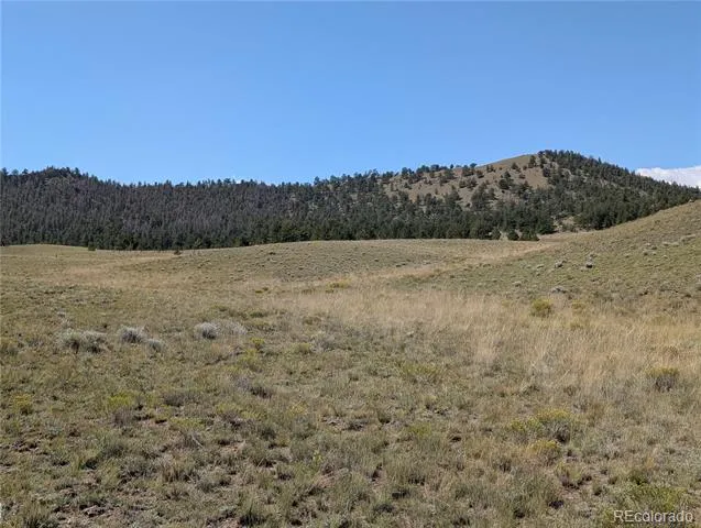 0 Cherokee Trail Hartsel, CO 80449