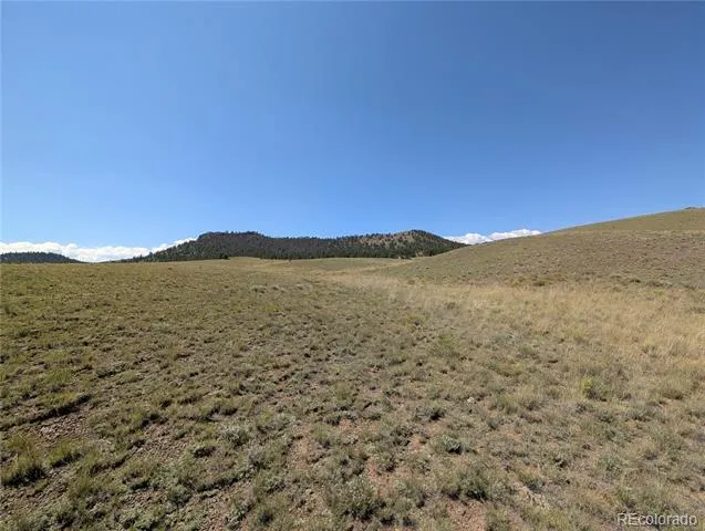 0 Cherokee Trail Hartsel, CO 80449