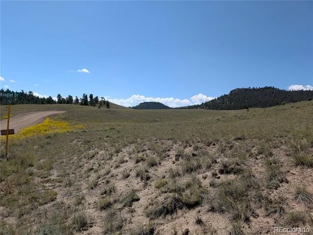 0 Cherokee Trail Hartsel, CO 80449