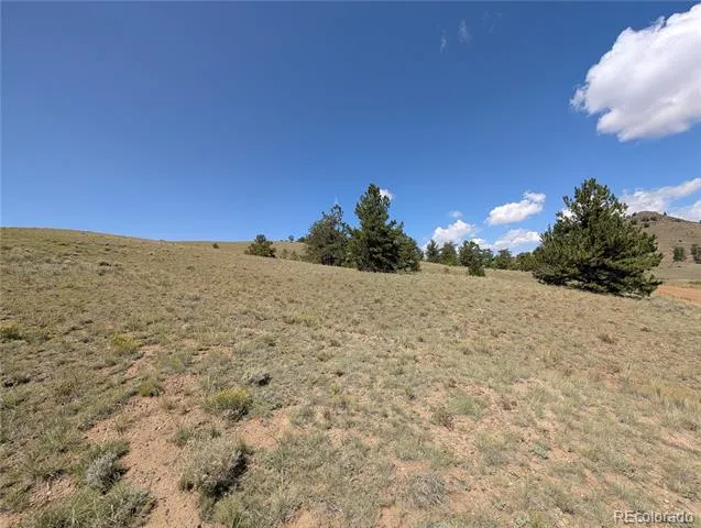 0 Cherokee Trail Hartsel, CO 80449