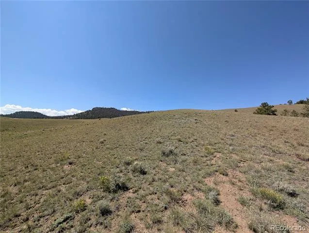 0 Cherokee Trail Hartsel, CO 80449