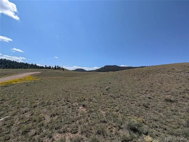 0 Cherokee Trail Hartsel, CO 80449