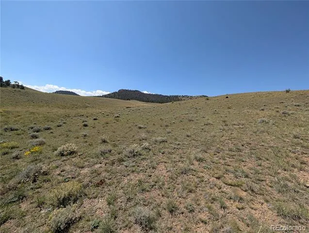 0 Cherokee Trail Hartsel, CO 80449