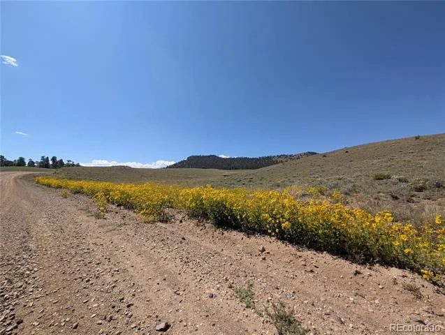 0 Cherokee Trail Hartsel, CO 80449
