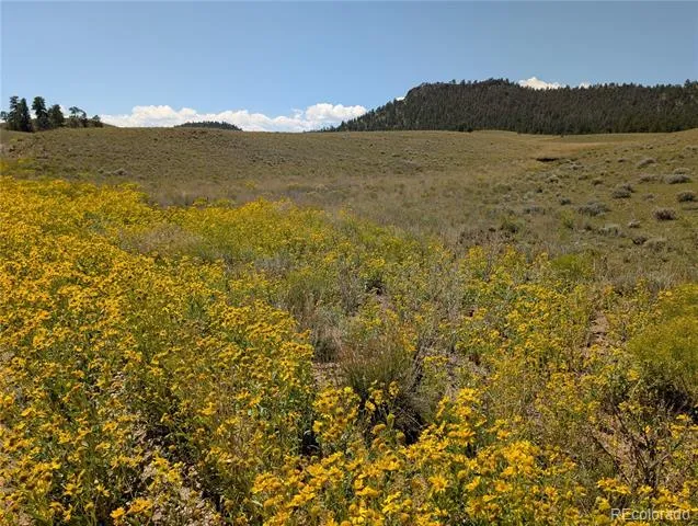 0 Cherokee Trail Hartsel, CO 80449