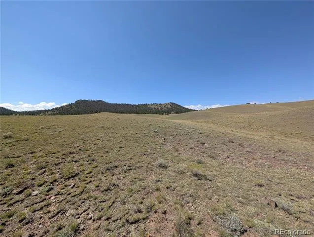 0 Cherokee Trail Hartsel, CO 80449